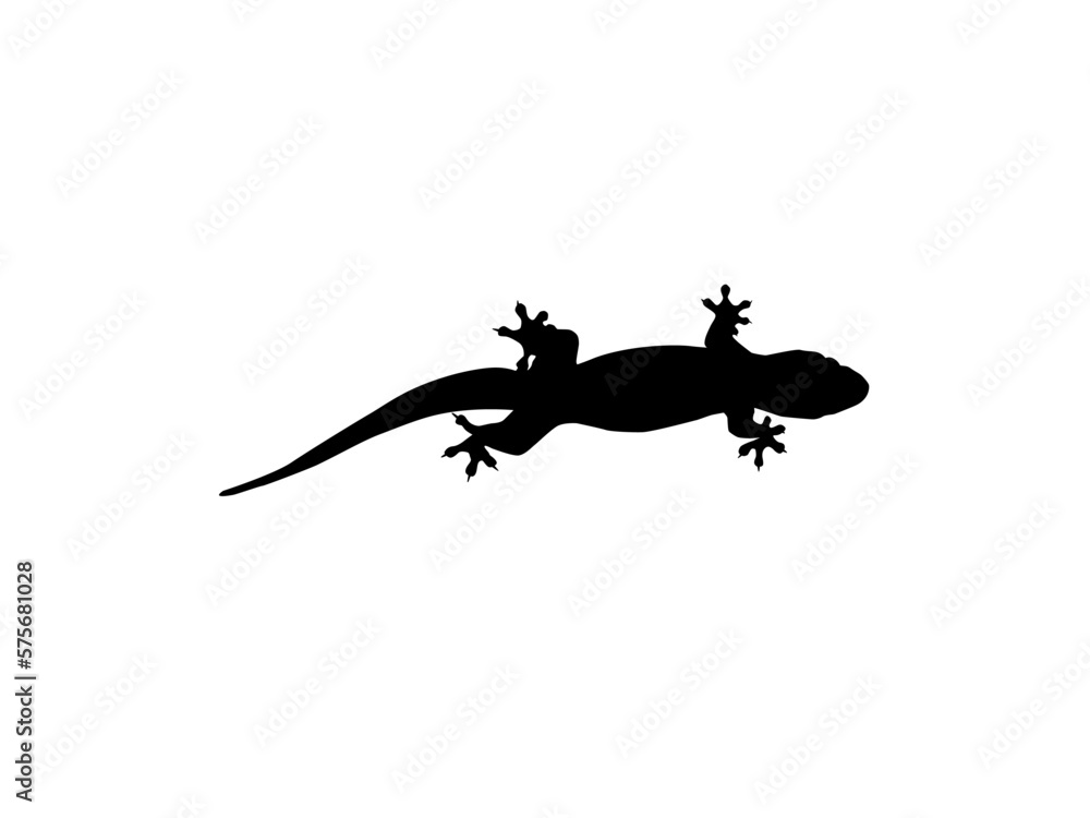 Fototapeta premium House Lizard also called House Gecko or Gekkonidae Silhouette for Art Illustration, Logo, Pictogram or Graphic Design Element. Vector Illustration