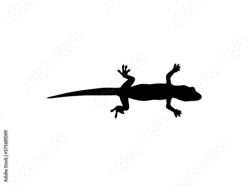 House Lizard also called House Gecko or Gekkonidae Silhouette for Art Illustration  Logo  Pictogram or Graphic Design Element. Vector Illustration