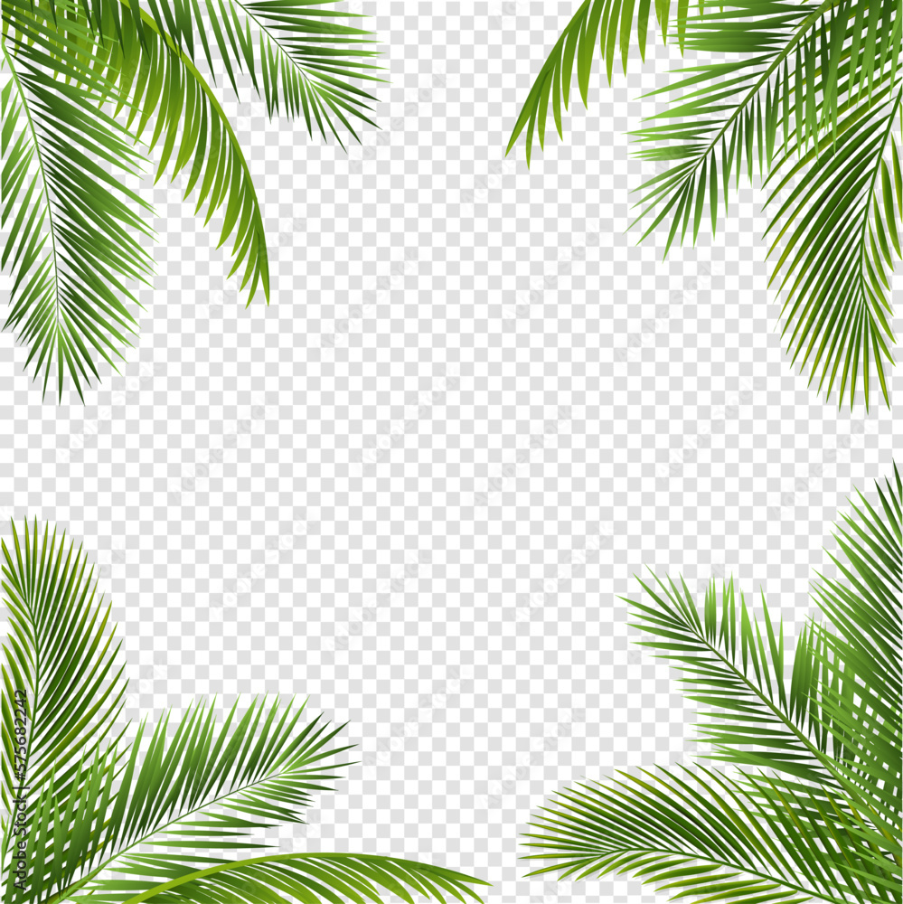 palm tree frame - obrazy, fototapety, plakaty 