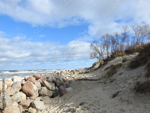 Fotografi Curonian Spit in winter