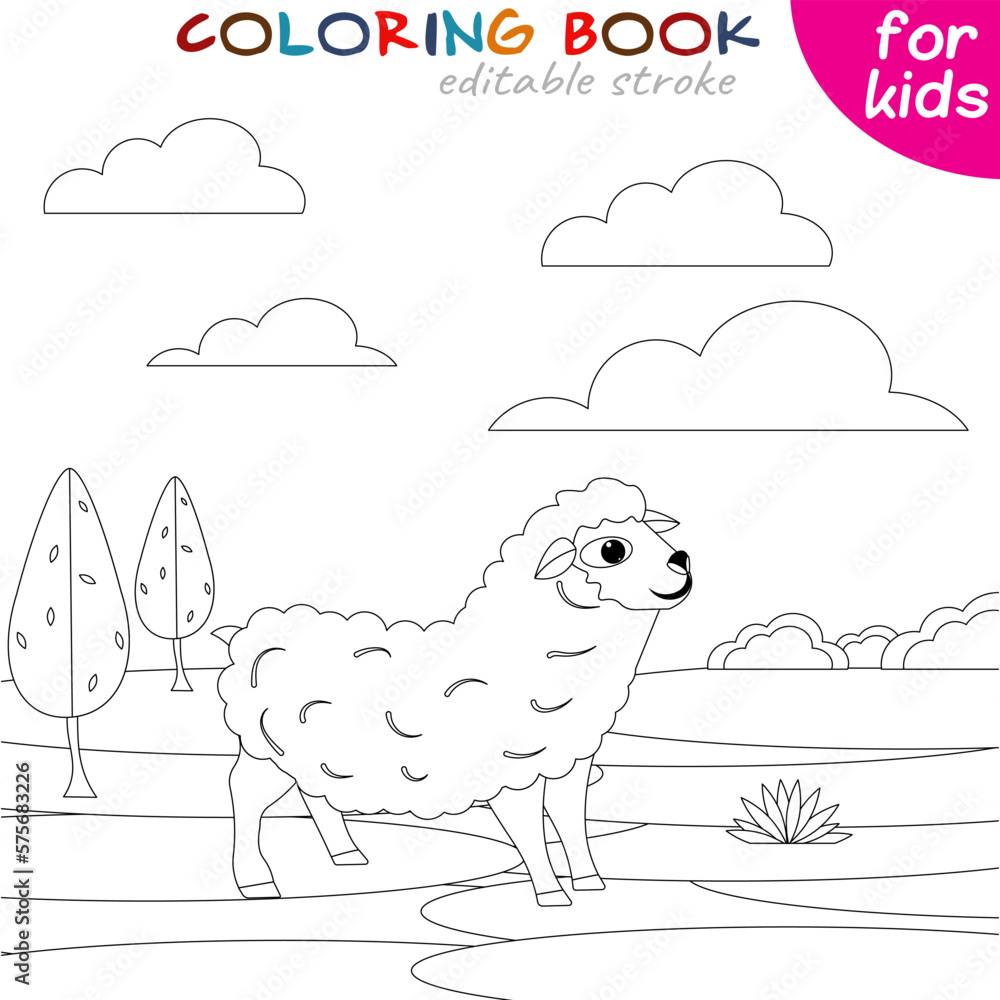 Sheep walk in the meadow. Coloring book page template for children. Sheep walk in the meadow. Coloring book page template for children.