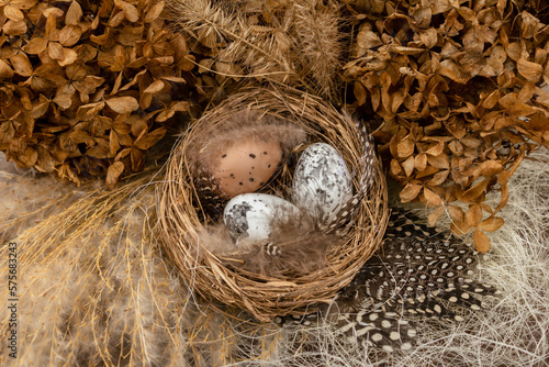 Easter decoration background with natural eggs in nest, guineafowl feathers and boho plants