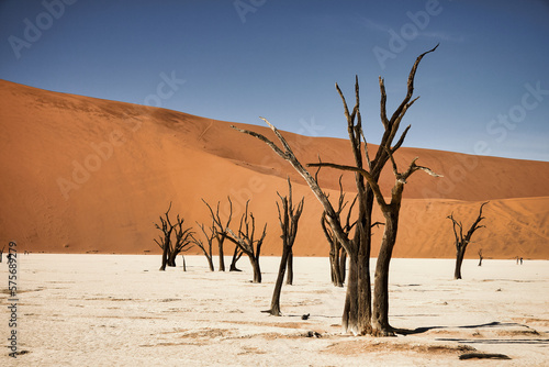 Desert Newey Sossusvlei in Namibie