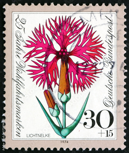 GERMANY - CIRCA 1974: a stamp printed in Germany shows ragged-robin, lychnis flos-cuculi, is a herbaceous perennial plant, circa 1974 photo