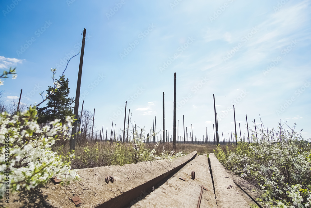 Fototapeta premium Vertical construction of the astronomical radio telescope observatory on the territory of the Institute of the ionosphere in the Kharkiv region, on a spring sunny day