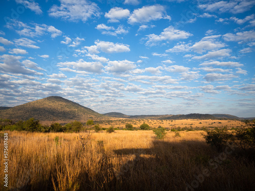 wild savannah landscape. Bush, clouds scattered blue sky. Pilanesberg, South Africa