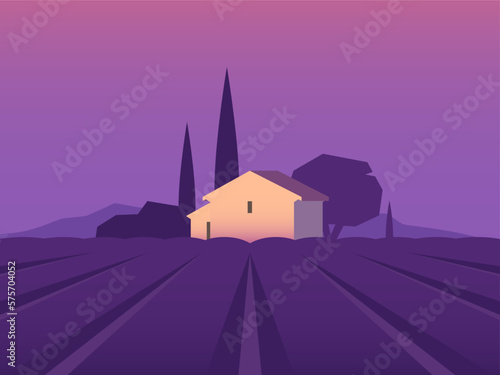 Lavender field, minimalist landscape in purple shades