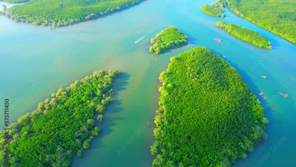 Aerial view from a drone flying over a green mangrove forests islands in the center of the estuary. Tropical in Thailand. ecosystem and environment concept. nature background video. High quality 4k
Aerial view from a drone flying over a green mangrove forests islands in the center of the estuary. Tropical in Thailand. ecosystem and environment concept. nature background video. High quality 4k