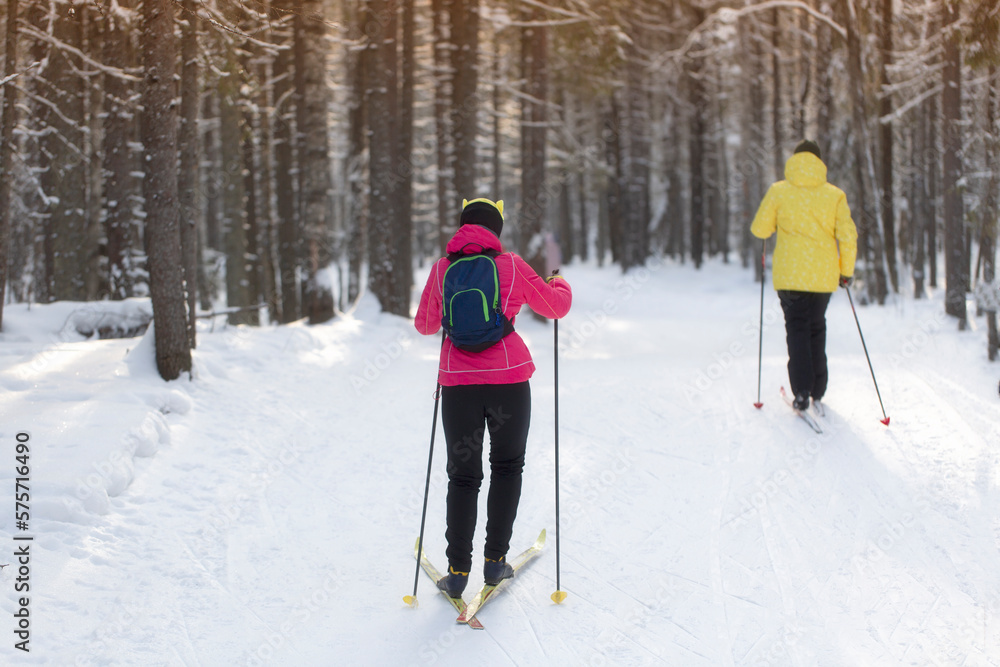 A woman goes cross-country skiing in winter through the forest on a special track.