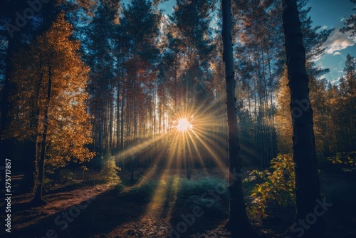 Amazing autumn sunset in the woods, captured in a panoramic view. Comfortable late summer sunset in the woods. Slanting rays of sunshine penetrating the forest. Generative AI