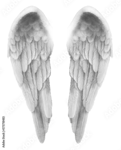 Finely detailed illustration of a Pair of silver grey Angel Wings isolated transparent png file 
