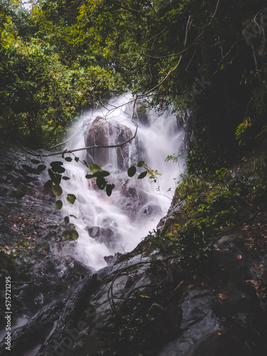 waterfall in the forest