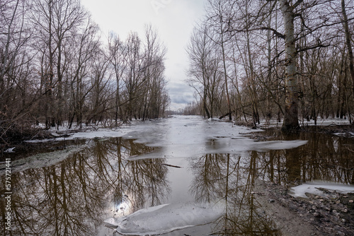 river in winter forest
