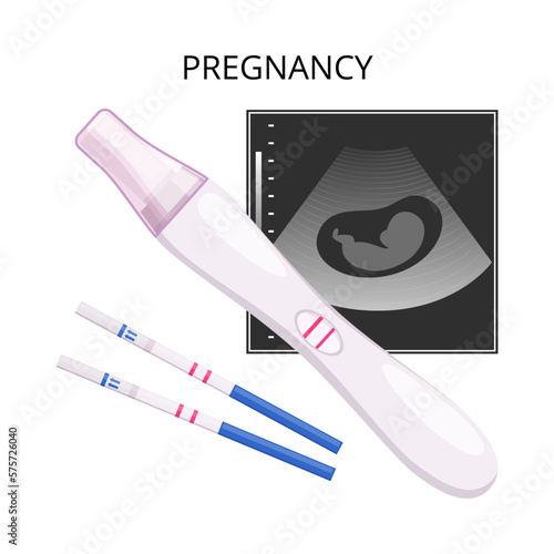 Pregnancy Test Flat Composition