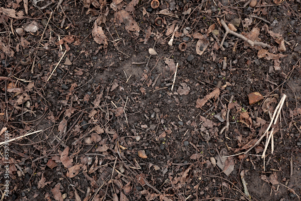 Earth background. Top view, ground texture. soil background Earth background. Top view, ground texture. soil background