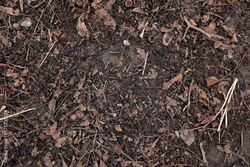 Earth background. Top view, ground texture. soil background