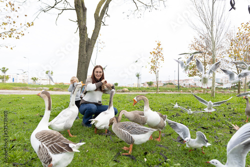 A cute family of a mother and her little son feeding a flock of grey geese in the park