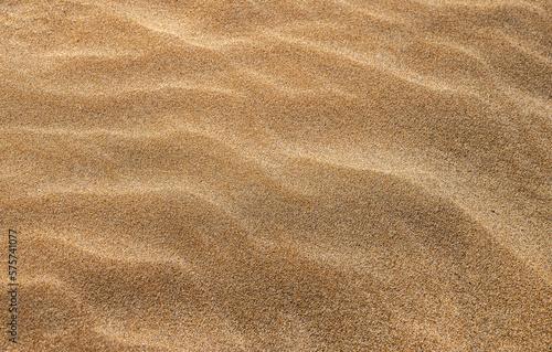 Background with beach sand wave close-up. Sand dunes on a sunny summer day. Free space for text