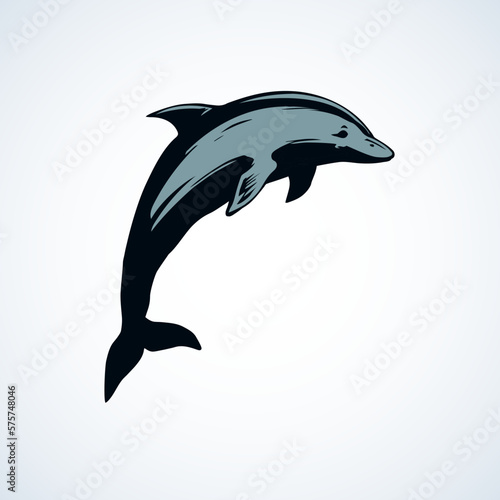 Dolphin. Vector drawing