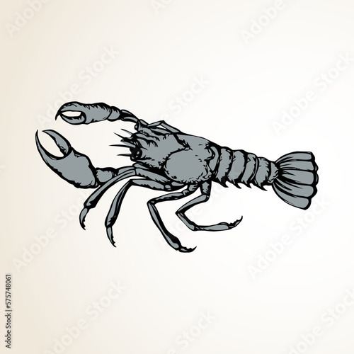Lobster. Vector drawing