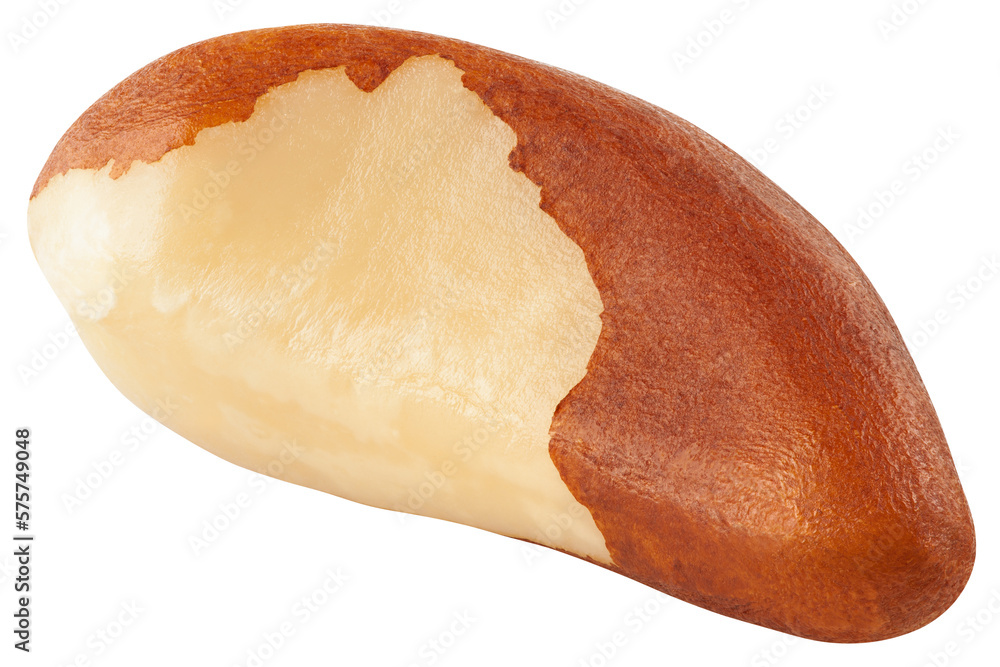 Obraz premium Brazil Nut isolated on white background, full depth of field, clipping path