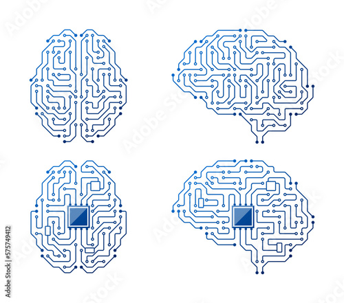 Cerebellar Electric Circuit Pathways Indicate Flow Of Electrical Signals Of Neurons Forming Complex Communication System
