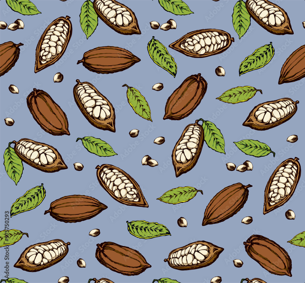 Cocoa Fruits. Vector drawing Cocoa Fruits. Vector drawing