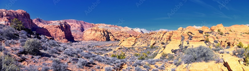 Fototapeta premium Snow Canyon State Park Red Sands views from hiking trail Cliffs National Conservation Area Wilderness St George, Utah, United States.