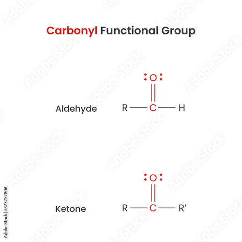 Carbonyl Biochemistry Functional Groups Aldehyde and Ketone vector science infographic