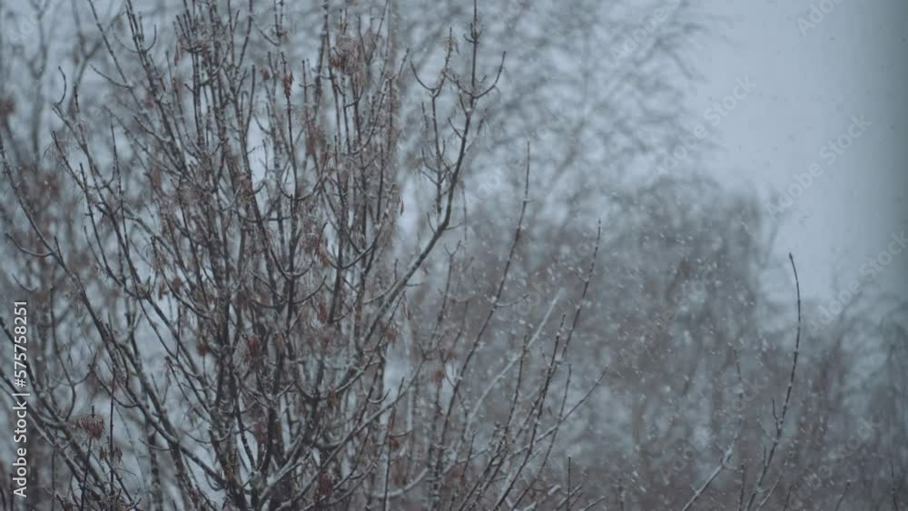 Snowfall in slow motion, snow flakes, snow falling slowly Snowfall in slow motion, snow flakes, snow falling slowly