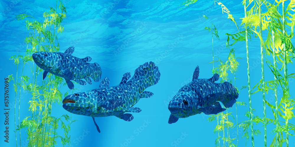 Coelacanth Prehistoric Fish - The Coelacanth fish was thought to be extinct  but was found to be a living species in present times. Stock Illustration