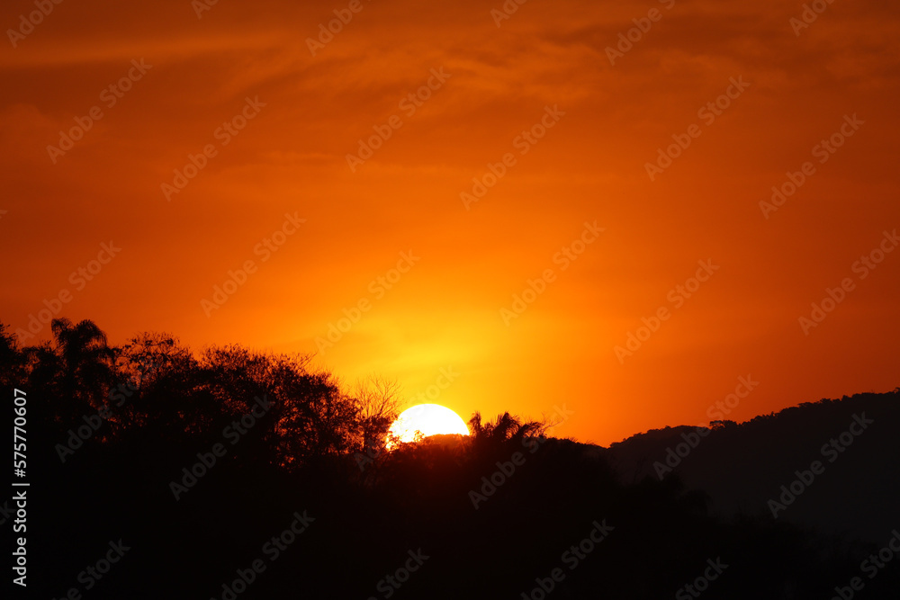 Sunset behind trees in Brazil