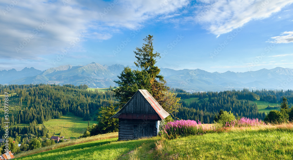 Obraz premium Summer evening mountain village outskirts with pink flowers and wooden shed in front and Tatra range behind (Gliczarow Gorny, Poland).