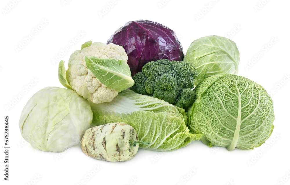 Fototapeta premium Many different fresh ripe cabbages on white background