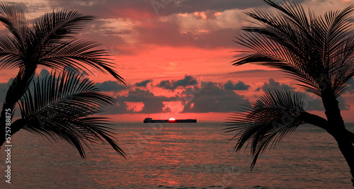 Picturesque view of sea and palm trees at sunset