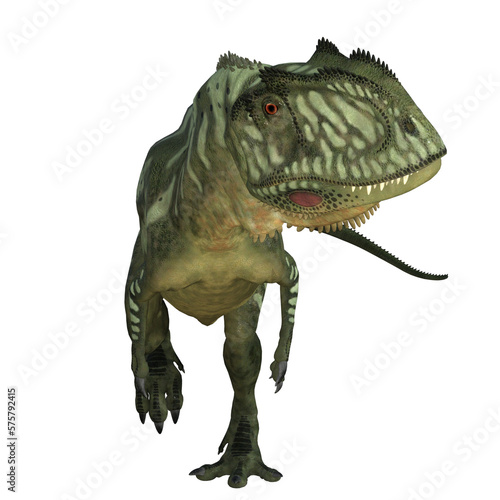 Yangchuanosaurus dinosaur isolated  photo