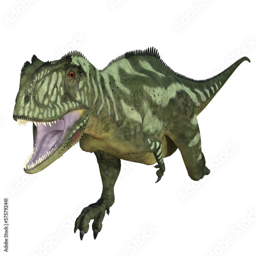 Yangchuanosaurus dinosaur isolated 
