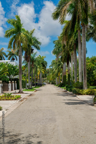 Quiet street in the middle of gated residences at Miami  Florida. Concrete road with plants and palm trees on the side at the front of the gates.