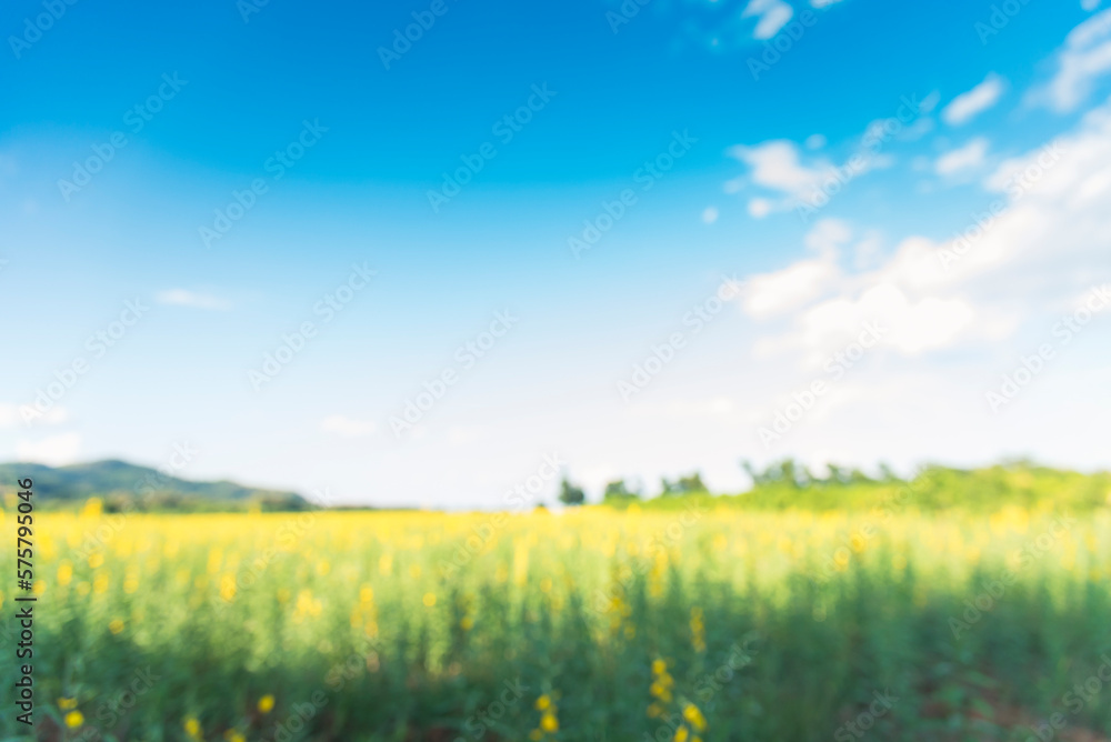 Obraz premium Blur background green park garden nature bright sunny forest. Blurry outdoor park in spring time glowing shinny day template with sunlight bokeh. Abstract blurred background banner copy space.