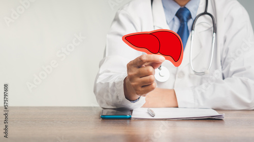Doctor holding a liver shape symbol while sitting at the table in the hospital