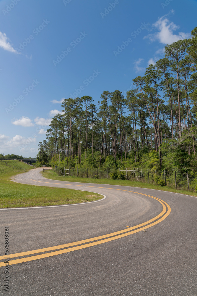 Winding road with double yellow lines in a vertical shot view at Navarre, Florida. Asphalt road in between grasses near the trees on the right with fence barriers.