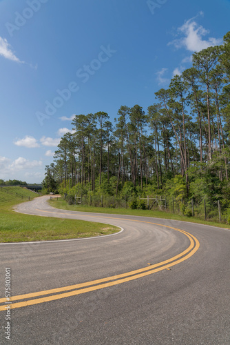 Winding road with double yellow lines in a vertical shot view at Navarre, Florida. Asphalt road in between grasses near the trees on the right with fence barriers.