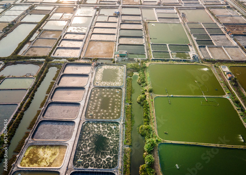 Shrimp farms near the seaside in Vietnam viewed from a drone. 