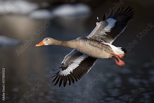 a flying greylag goose (Anser anser). Generative AI