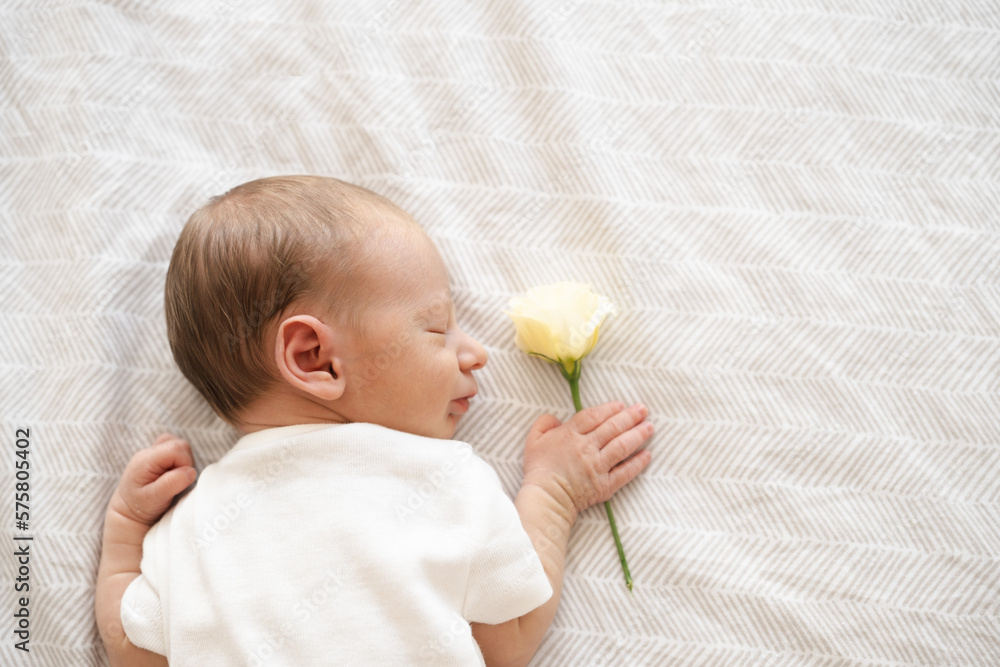 Close up of caucasian hairy brunet cute newborn baby sleeping on stomach holding white flower.Few days old child.Love, Valentines day concept.Half body shot.Copy space.