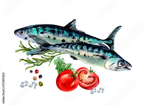 Composition of mackerel and spice watercolor illustration isolated on white. Fresh sea fish, tomatoes, rosemary, spices hand drawn. Design element for cookbook, label, menu, market, canned fish