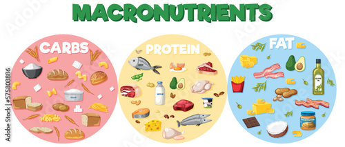 Macronutrients diagram with food ingredients