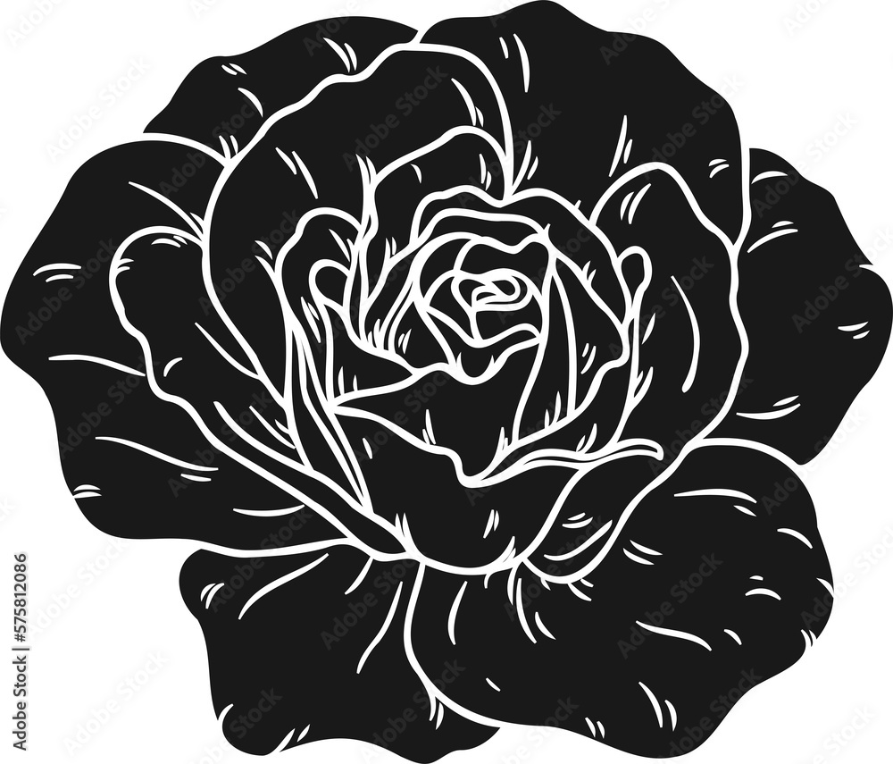 Burgundy iceberg rose png.Beautiful flower on transparent background. Burgundy iceberg rose png.Beautiful flower on transparent background.