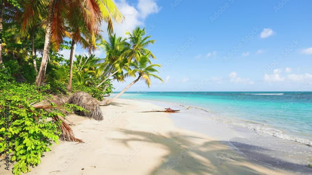 Beautiful Maldivian beach on an exotic island with palm trees. Landscape of tropical nature on the sea coast. An idyllic beach to relax on your summer holidays. Travel to tropical paradise. Beautiful Maldivian beach on an exotic island with palm trees. Landscape of tropical nature on the sea coast. An idyllic beach to relax on your summer holidays. Travel to tropical paradise.
