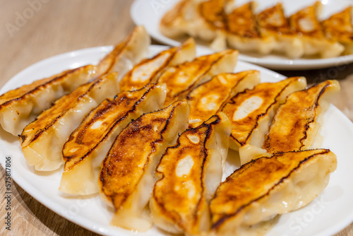 Japanese grill meat dumpling dish